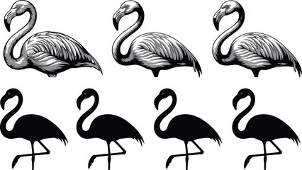 Obraz premium Illustration of six flamingos in grayscale and black silhouette form