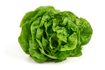 Obraz premium Lettuce Head Fresh Butterhead, isolated on white background
