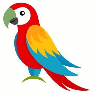 Colorful macaw parrot illustration isolated on white background