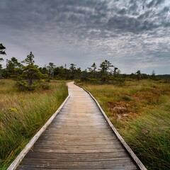 Scenic Wooden Boardwalk Path Through Bog Landscape Under Dramatic Cloudy Sky - Nature Photography
