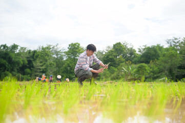 A man squats in a green rice field, using a smartphone, surrounded by lush trees under a cloudy sky.