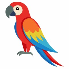Scarlet macaw parrot illustration isolated on white background