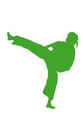 qwan ki do combat self defense