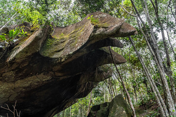 Formación rocosa al interior de la densa selva tropical en el Amazonas con colores intensos llenos de vida, biodiversidad e invitación a la exploración