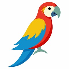 Colorful macaw parrot illustration isolated on white background