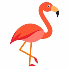 Pink flamingo bird illustration isolated on white background