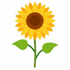 Simple sunflower illustration isolated on white background