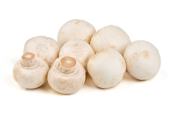 White Mushrooms Food, isolated on white background