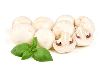 Mushrooms with Basil Ocimum basilicum, isolated on white background