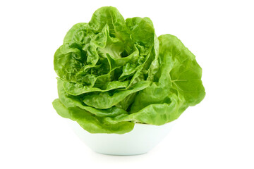 Lettuce Head in White Bowl, isolated on white background