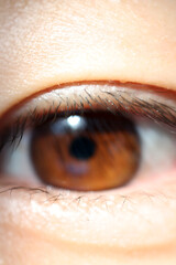 A close up photo of brown eyes