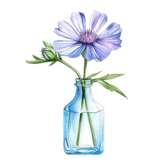 watercolor vector of A Chicory Flower In A Vase, isolated on a white background.