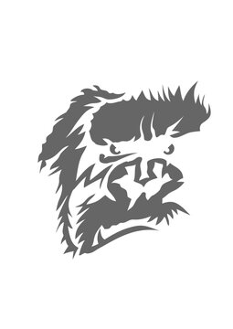 gorille feroce dent gueule