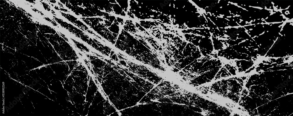 Poster detailed close-up view of intricate spider web structure showcasing natural artistry in black and wh