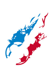 France foot supporter equipe coq flamme © Scal