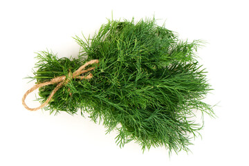 Fresh Dill Bunch Tied, isolated on white background