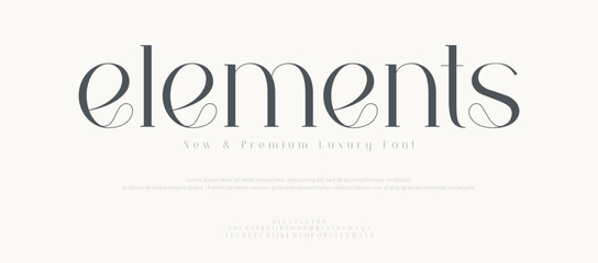 Luxury vintage alphabet letters font and number.  Classic Lettering Minimal Fashion Designs. Typography modern serif fonts regular decorative vintage concept. vector illustration
