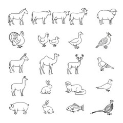 Line art collection of farm animals on white background
