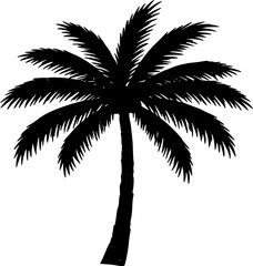 palm tree tropical summer