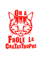 frole chatastrophe chat expression humour