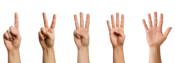 Different Hand Gestures Representing Numerical Values from One to Five, Perfect for Educational or Creative Use, Isolated on Transparent and White Background