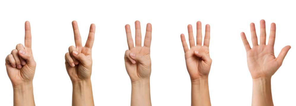 Different Hand Gestures Representing Numerical Values from One to Five, Perfect for Educational or Creative Use, Isolated on Transparent and White Background