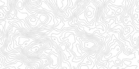 topography white background and black line wireframe isoline location diagram world map texture design.	
