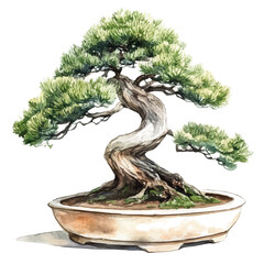 Fototapeta premium A Cedar Of Lebanon Bonsai, watercolor illustration vector, isolated on a white background.
