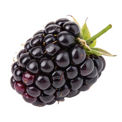 Fresh Ripe Blackberry Isolated on White Background

