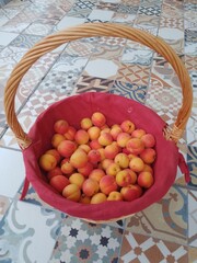 Apricot Fruit in Wicker Basket