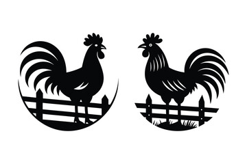 rooster isolated on white