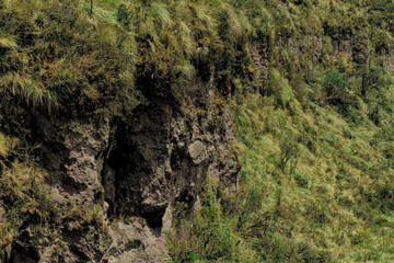 a rock in the mountains