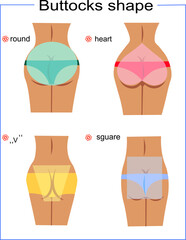 buttocks female  shape