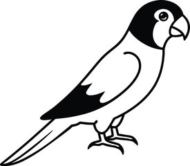 Fototapeta premium MACOW VECTOR