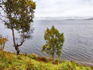 Scenic view of serene lake with trees under cloudy skies in autumn landscape