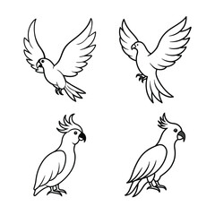 set of birds