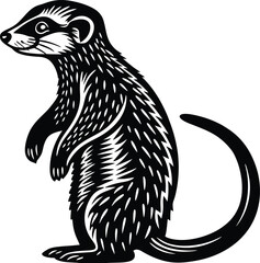 RACCOON VECTOR