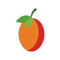 Miracle fruit exotic berry drawing Vector illustration on white background