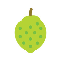 Noni fruit in tropical medicinal style Vector illustration on white background