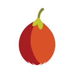 Salak or snake fruit peeled view Vector illustration on white background