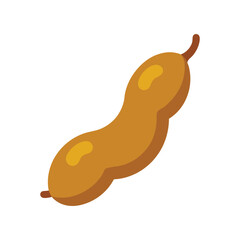 Tamarind pod with seeds inside Vector illustration on white background
