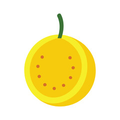 Yellow passion fruit tropical style Vector illustration on white background