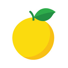 Yuzu citrus fruit with rough rind Vector illustration on white background