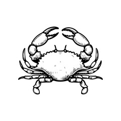 Crab icon isolated on white background. Design elements for logo, label, emblem, sign. Vector illustration