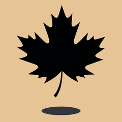 maple leaf vector illustration