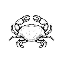Crab icon isolated on white background. Design elements for logo, label, emblem, sign. Vector illustration