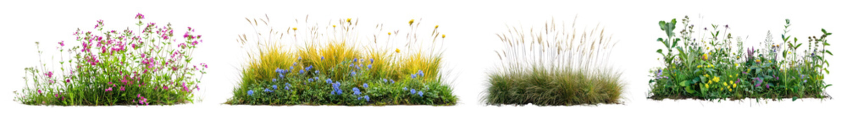 Obraz premium PNG Vibrant floral garden arrangements, element set on transparent background