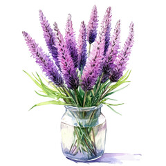 Naklejka premium A Blazing Star Liatris In A Vase, watercolor painting vector, isolated on a white background.
