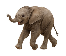Obraz premium Playful Baby Elephant Joyfully Running with Outstretched Trunk and Delightful Expression, Isolated on Transparent and White Background