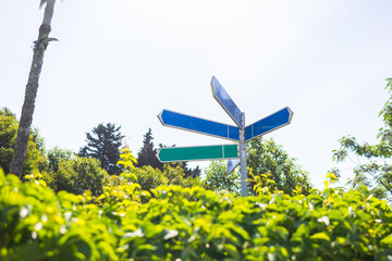 Empty directional signpost above green foliage on sunny day. Concept of navigation, choices, travel...